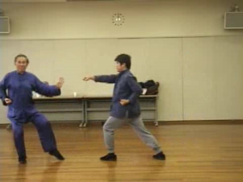 Shaolin Kung Fu