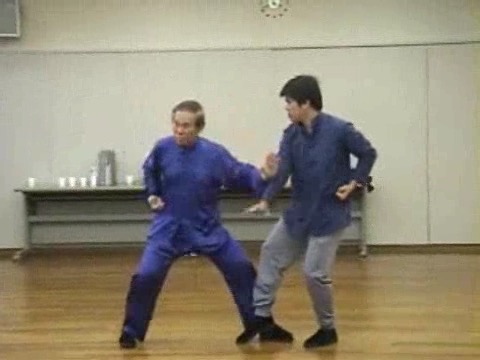 Shaolin Kung Fu