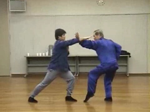 Shaolin Kung Fu