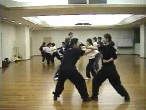 Shaolin Kung Fu