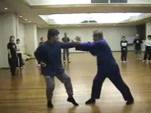 Shaolin Kung Fu