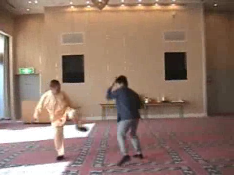 Shaolin Kung Fu