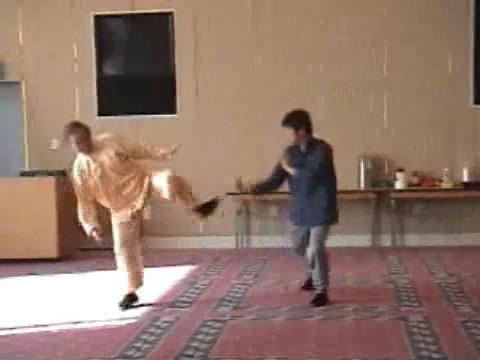 Shaolin Kung Fu