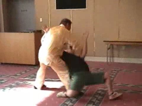 Shaolin Kung Fu