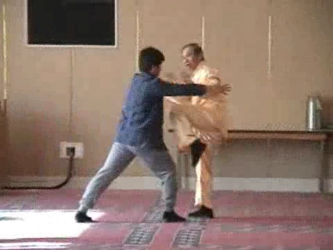 Shaolin Kung Fu