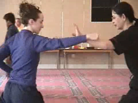 Shaolin Kung Fu