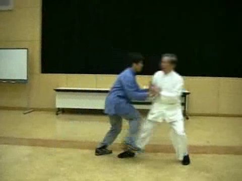 Wahnam Taijiquan