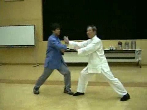 Wahnam Taijiquan