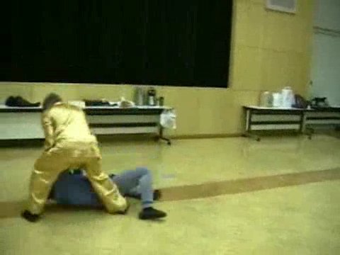 Wahnam Taijiquan