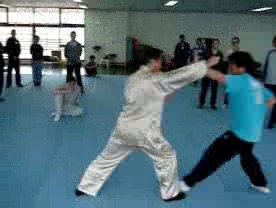 &ldquo;Shaolin