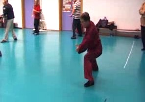 Old Eagle Catches Snake