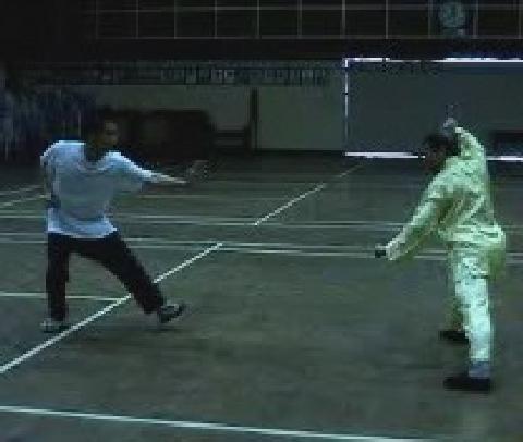 Twelve Punches in Shaolin Kung Fu