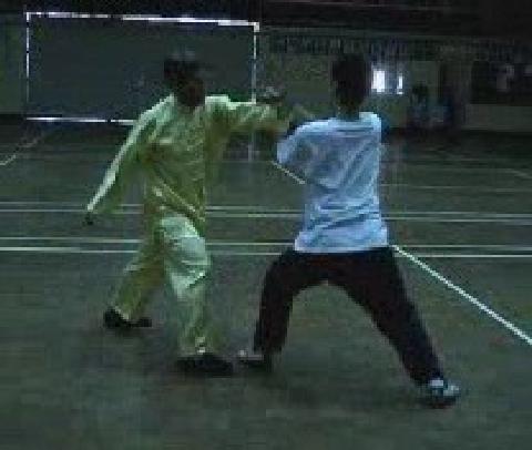 Twelve Punches