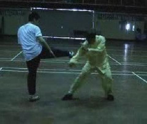 Twelve Punches
