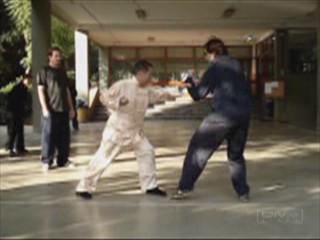 &ldquo;Shaolin