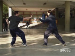 &ldquo;Shaolin