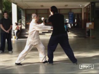 &ldquo;Shaolin