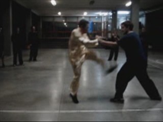 Shaolin Kung Fu