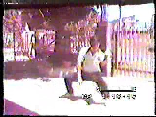 &ldquo;Shaolin