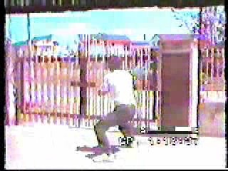 &ldquo;Shaolin