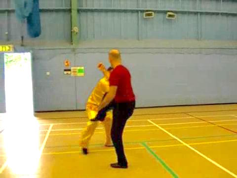12 Combat Sequences of Shaolin Tantui