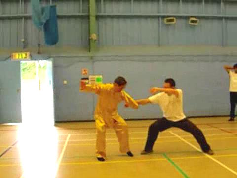 12 Combat Sequences of Shaolin Tantui