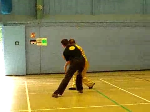 12 Combat Sequences of Shaolin Tantui