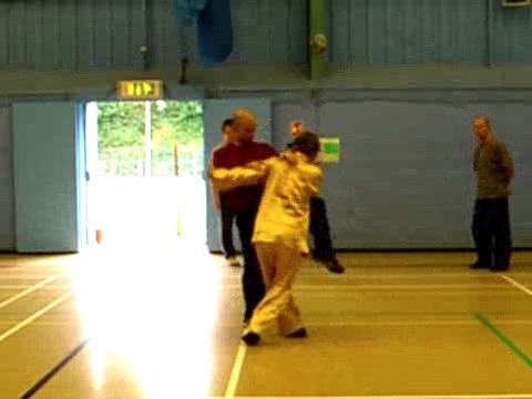 12 Combat Sequences of Shaolin Tantui