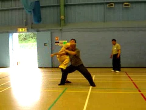 12 Combat Sequences of Shaolin Tantui