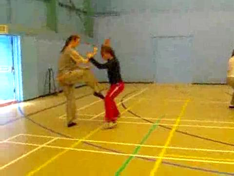 12 Combat Sequences of Shaolin Tantui