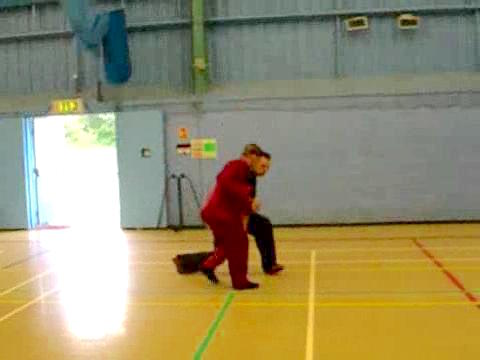 12 Combat Sequences of Shaolin Tantui