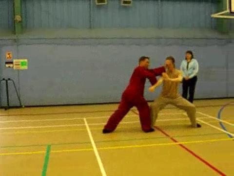 12 Combat Sequences of Shaolin Tantui