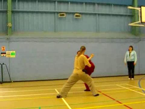 12 Combat Sequences of Shaolin Tantui