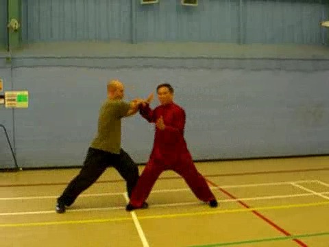 12 Combat Sequences of Shaolin Tantui