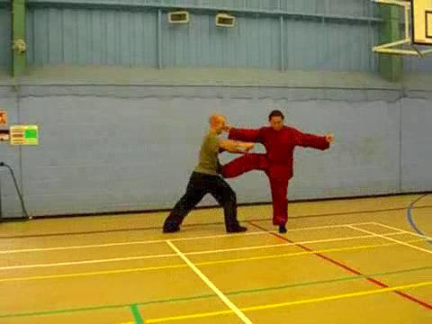 12 Combat Sequences of Shaolin Tantui