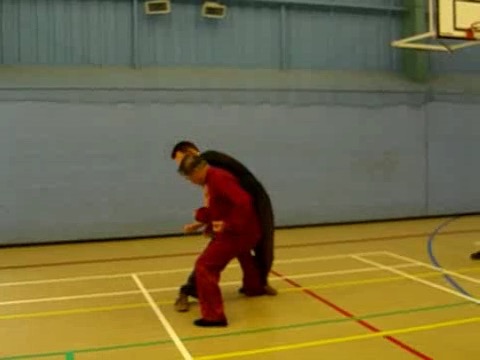 12 Combat Sequences of Shaolin Tantui