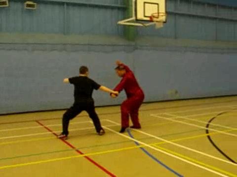 12 Combat Sequences of Shaolin Tantui