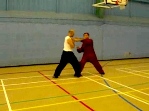 12 Combat Sequences of Shaolin Tantui