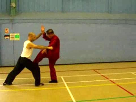 12 Combat Sequences of Shaolin Tantui