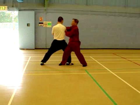 12 Combat Sequences of Shaolin Tantui