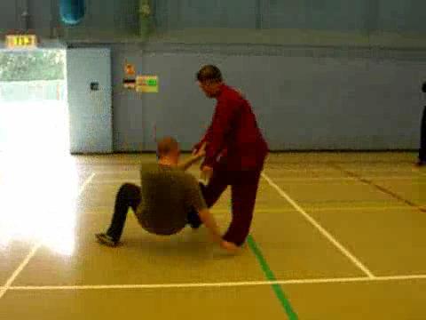 12 Combat Sequences of Shaolin Tantui