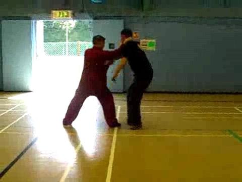 12 Combat Sequences of Shaolin Tantui