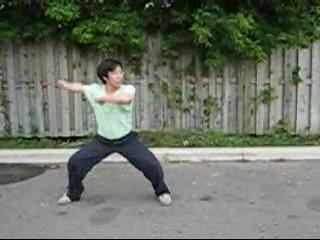 Shaolin Tantui