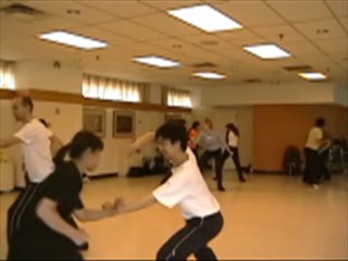 &ldquo;Shaolin