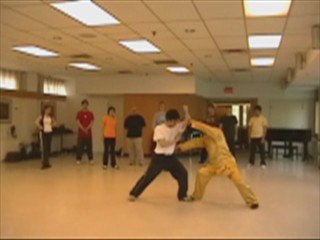 12 Combat Sequences of Shaolin Tantui
