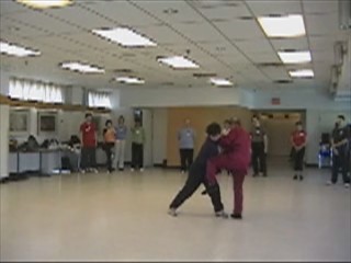 12 Combat Sequences of Shaolin Tantui