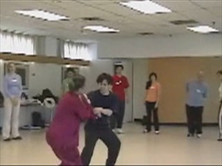 12 Combat Sequences of Shaolin Tantui