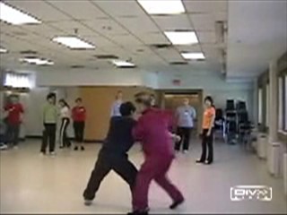 12 Combat Sequences of Shaolin Tantui