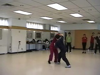 12 Combat Sequences of Shaolin Tantui