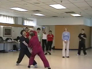 12 Combat Sequences of Shaolin Tantui